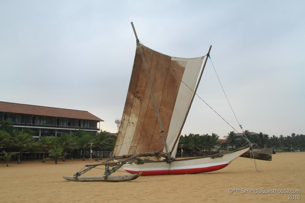 Serendib Guest House Negombo Eksteriør bilde