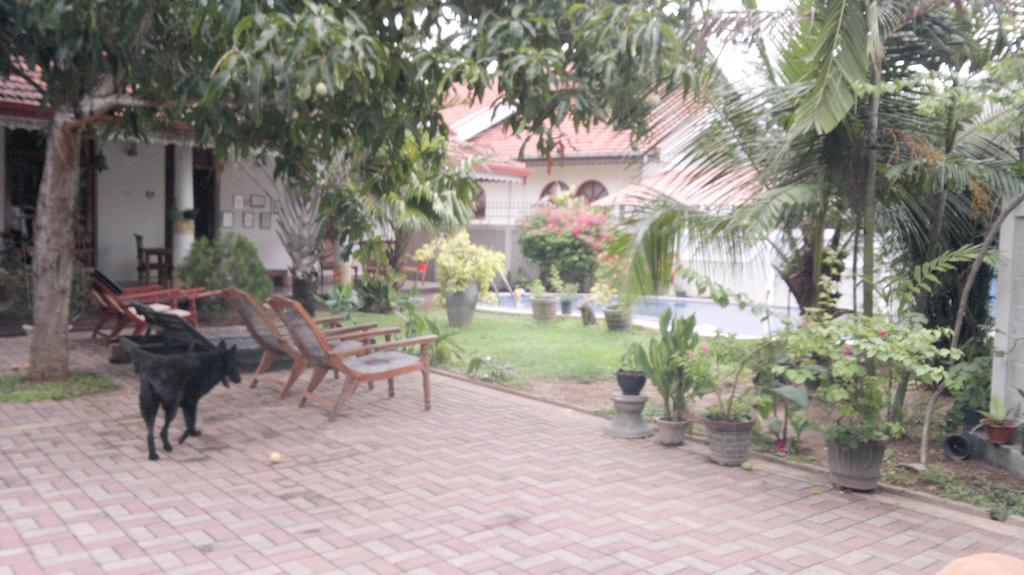 Serendib Guest House Negombo Eksteriør bilde